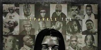 Sparkle Tee - Recognised
