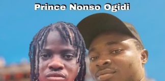 Nonso Ogidi - Nne Nwaanyi Ogwugwu