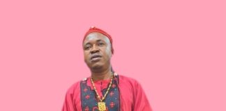Chief Michael Udegbi – Alusi Udeoku