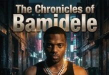 Dremo – The Chronicles of Bamidele (Album EP)