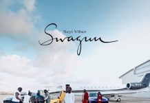 Seyi Vibez Releases His New Project, SWAGUU Album