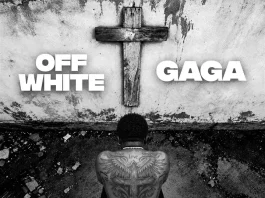 Larry Gaaga Ft. Peruzzi – Off White
