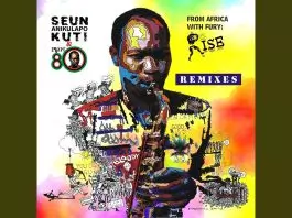 Seun Kuti - The Good Leaf (Spoek Mathambo Remix)