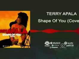 Terry Apala - Shape Of You (Cover)