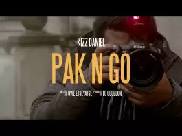 Kizz Daniel - Pak 'N' Go