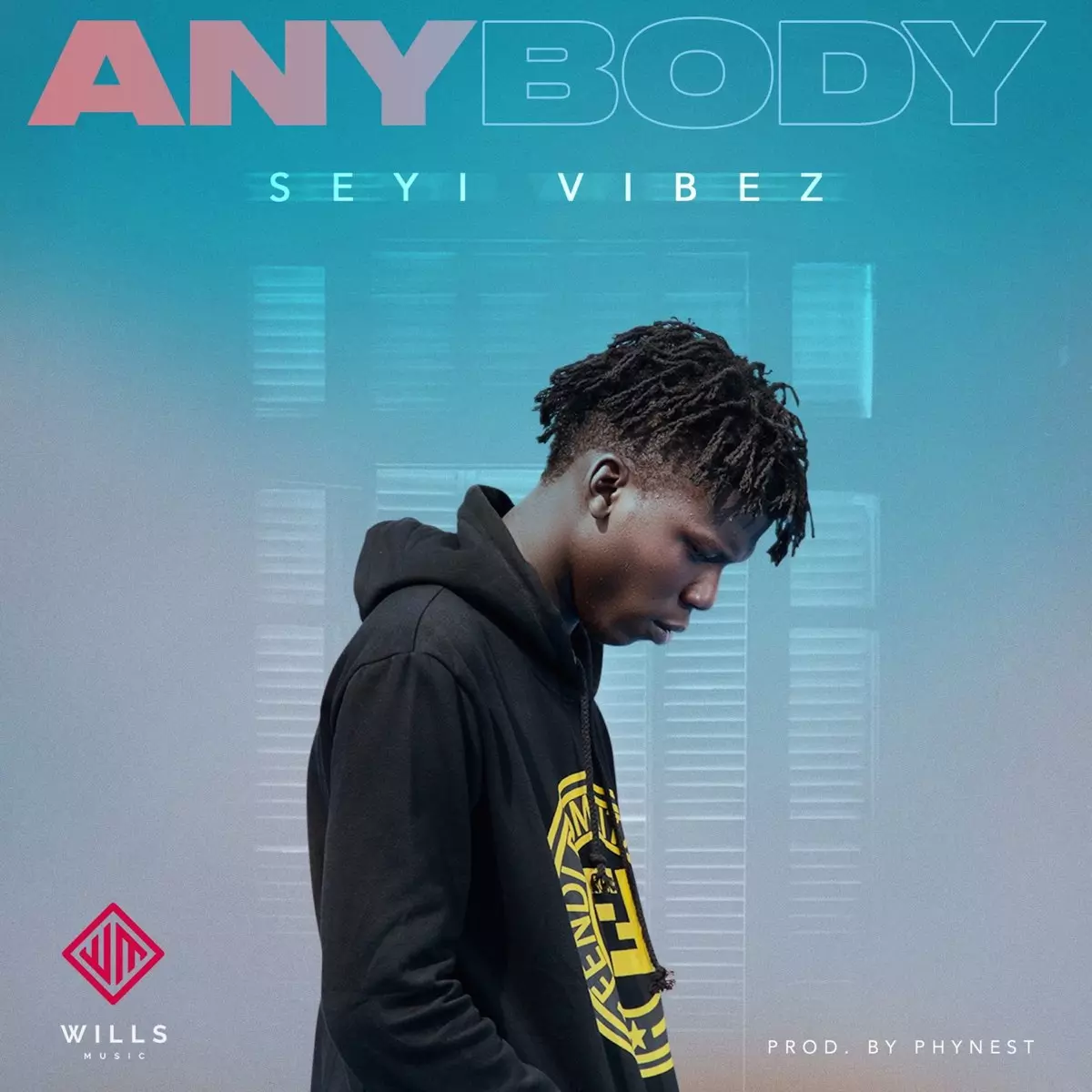 Seyi Vibez - Anybody