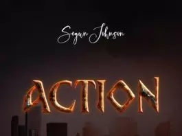 Segun Johnson - Action