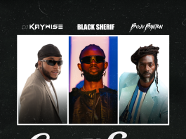 DJ Kaywise ft. Black Sherif & Buju Banton - Green Light